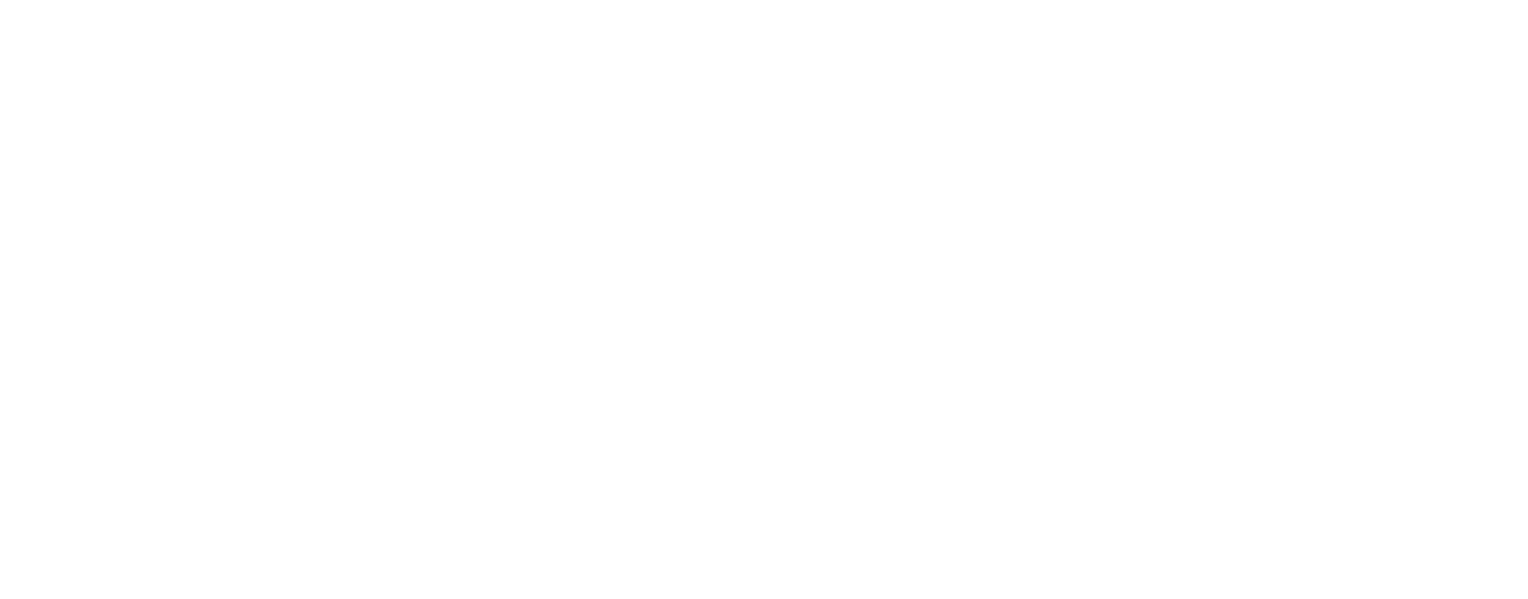 BricoVitor